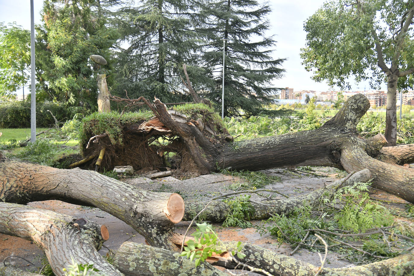 La borrasca Béatrice causa desperfectos en Badajoz