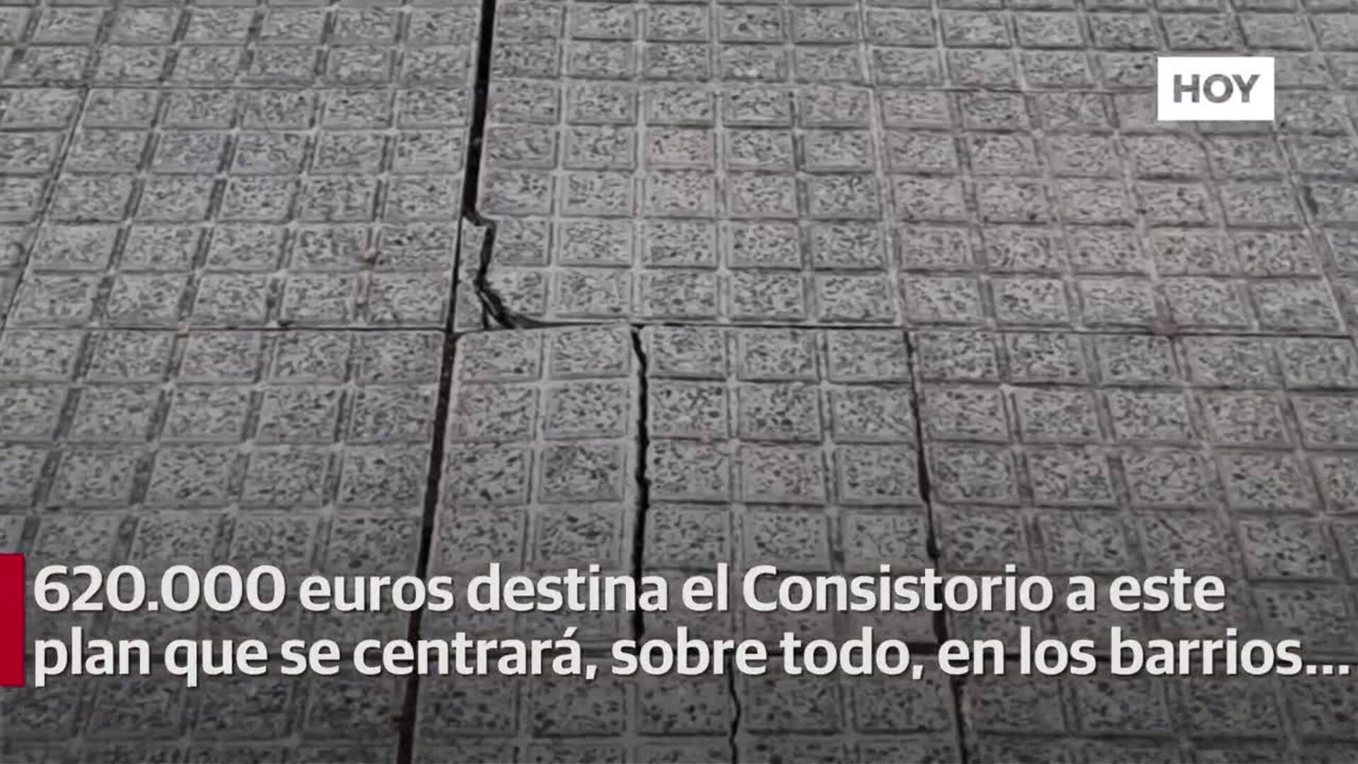 El Ayuntamiento quitará los plátanos de sombra y pondrá 500 árboles nuevos