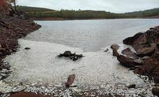 Ya se han sacado dos toneladas de peces muertos del embalse de Villar del Rey