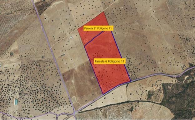 Luz verde ambiental al proyecto para crear una planta de biomasa en Las Villuercas