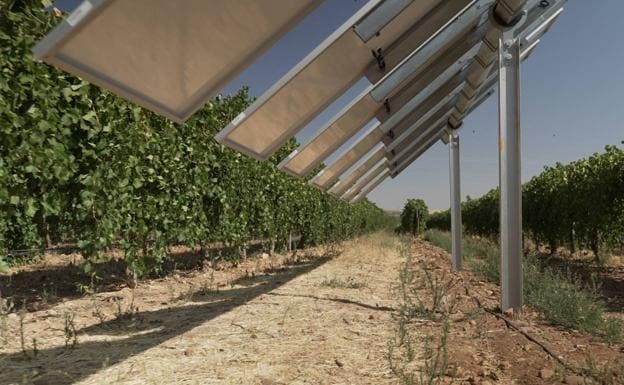 Unas jornadas analizarán la implantación de modelos de agrovoltaica en Extremadura