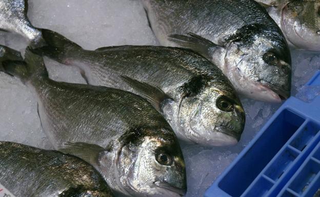 ¿Cuáles son los pescados más seguros por tener menos nivel de mercurio?