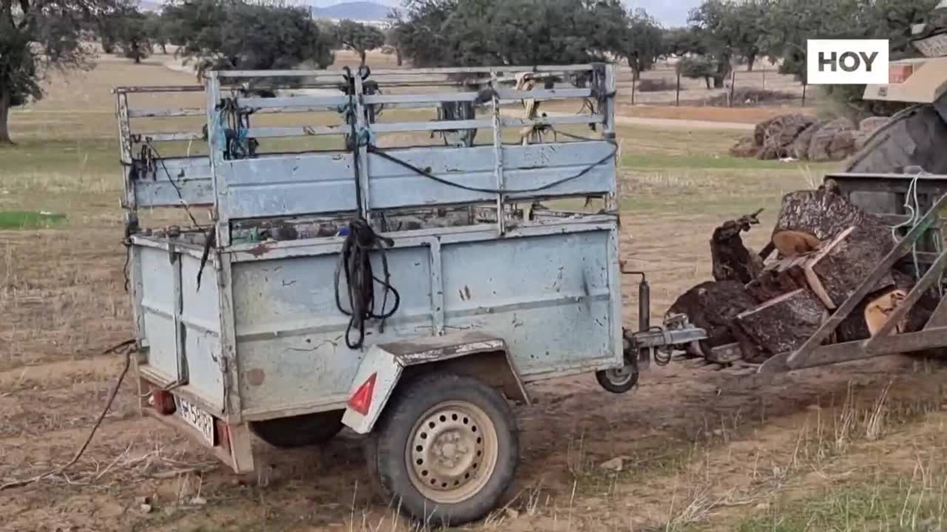Los leñadores abren la campaña con mejores precios
