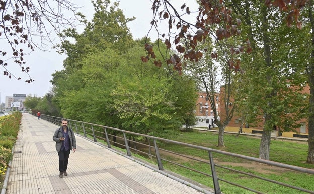 El parque de las Moreras de Badajoz homenajeará a Francisco Pedraja esta primavera