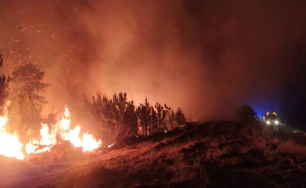 Más de la mitad de los incendios de una «campaña muy dura» en Extremadura han sido intencionados