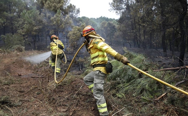 Incendios forestales
