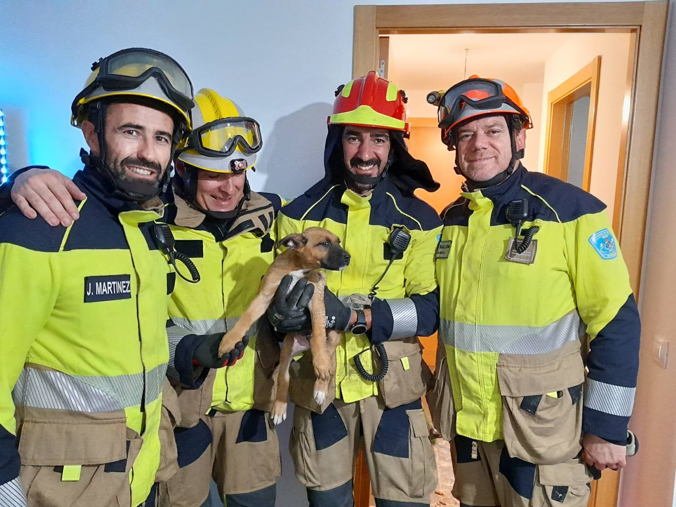 Así fue el rescate del perro que se precipitó por una canalización