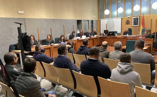 La veterinaria acusada de sacrificar 41 perros confiesa que solo tramitó las bajas del censo