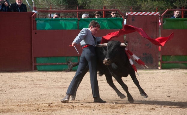 Pedro Herrera se luce en el festival de Gerena