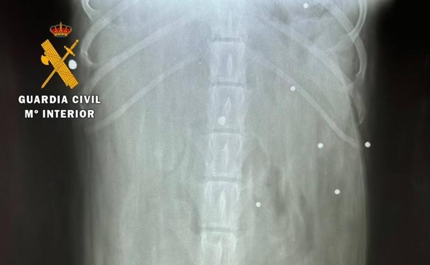 Investigan a un hombre por disparar al perro de su vecina en una finca de Calzadilla