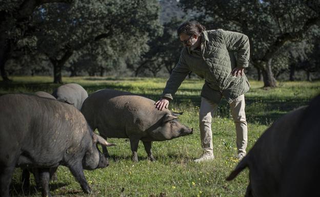 Cómo pujar por un jamón ibérico de 16 kilos por una causa solidaria