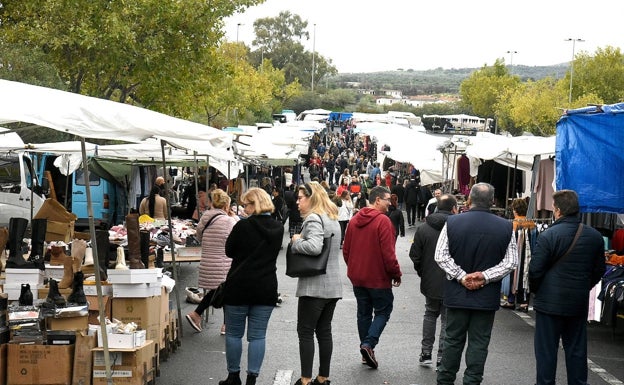 Plasencia busca con tres gastronetas salvar el mercadillo en el ferial