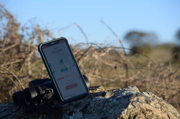 Los censos de aves migratorias garantizan una caza sostenible