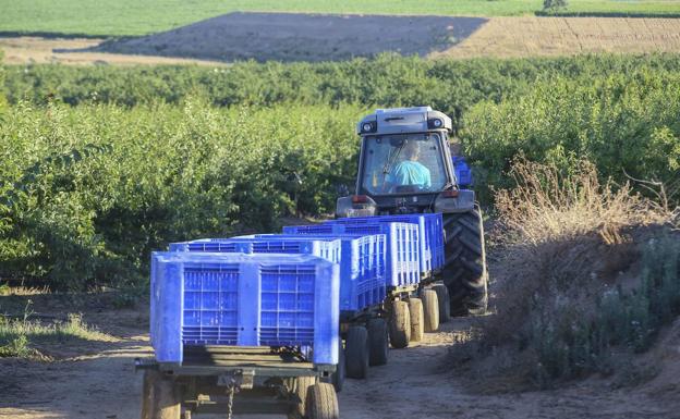 Extremadura es junto con Asturias la única comunidad en la que baja el sueldo medio