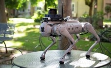 Tefi, un perro robot español para guiar a dependientes