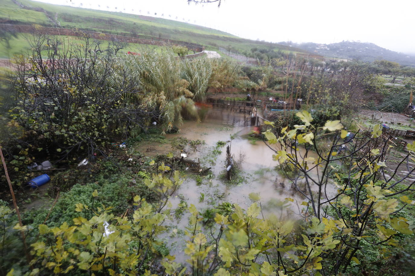 Las lluvias desbordan el cauce de la Ribera e inundan las huertas del Marco en Cáceres