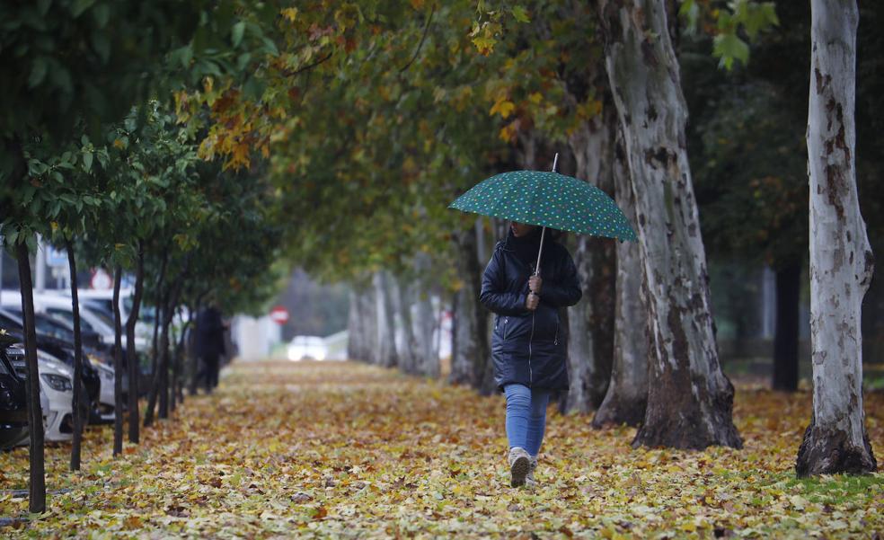Lluvias intermitentes y bajan las temperaturas mínimas este jueves en Extremadura