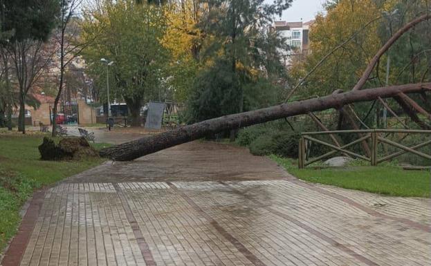 Cáceres reabre las instalaciones y parques públicos clausurados por la tormenta