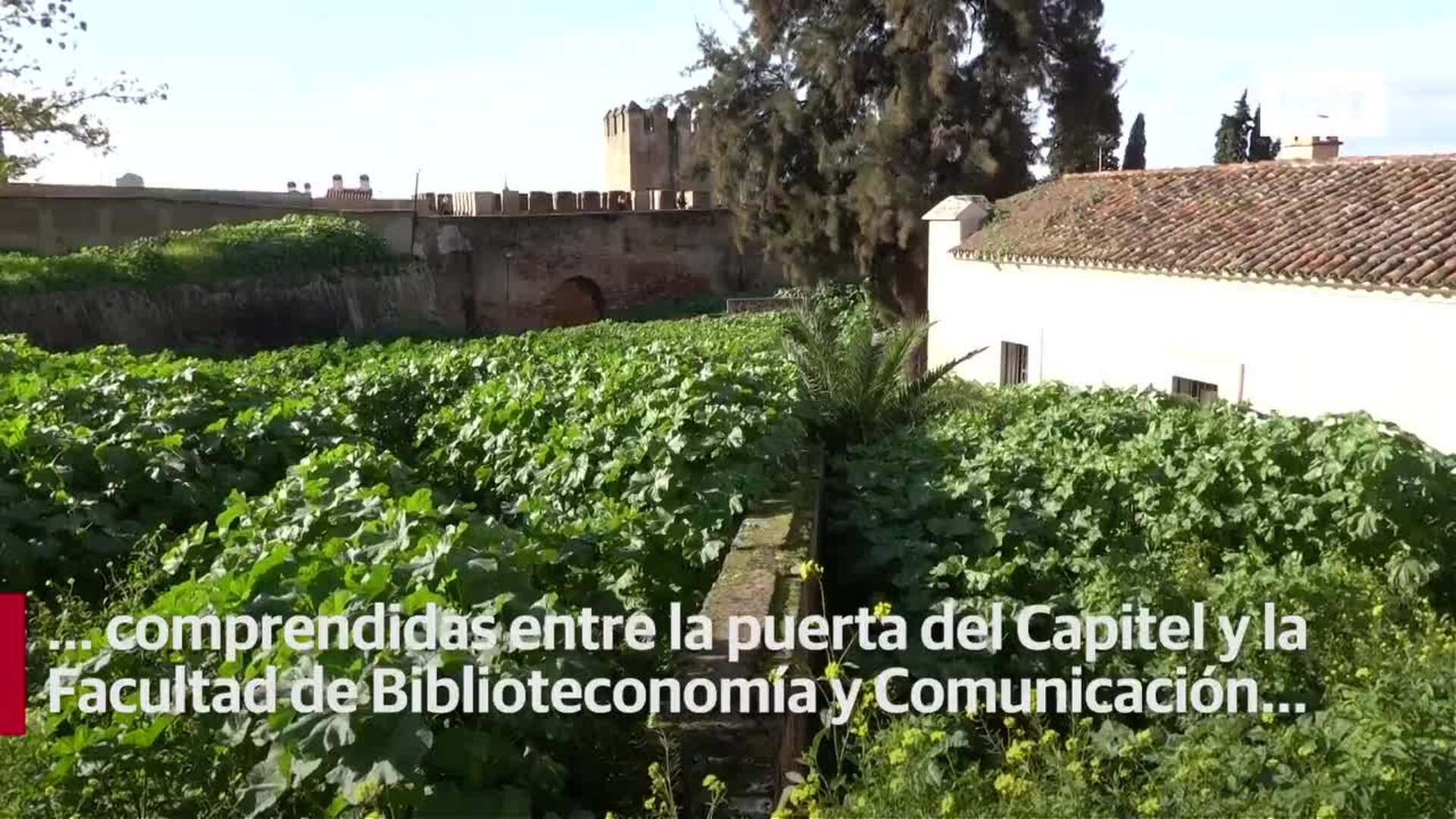 La Alcazaba de Badajoz contará con 300.000 euros para mejorar el acceso desde la puerta del Capitel