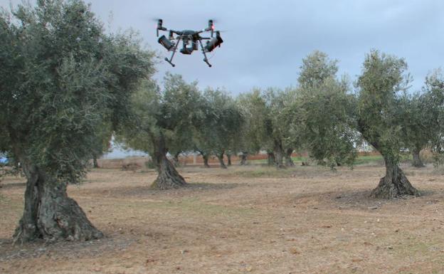 Denunciados tres hombres por volar drones sin autorización, dos de ellos para grabar la crecida del Guadiana