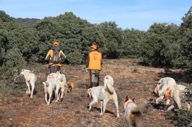 La Ley Animalista continúa sin acuerdo para excluir a la actividad cinegética