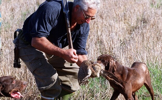 Satisfacción en la Junta y en Fedexcaza por sacar a los perros de caza fuera de la ley animal