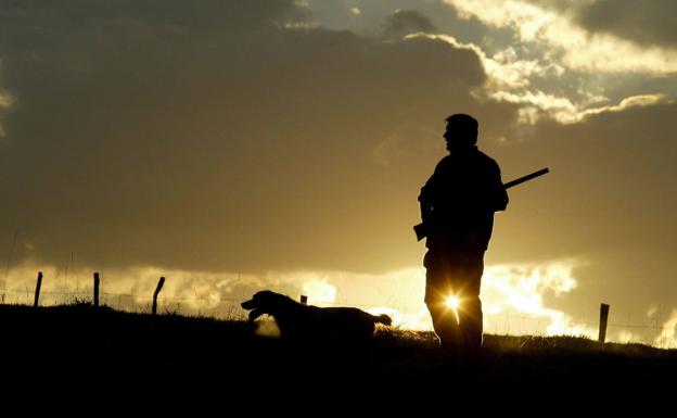 Extremadura tramitó 527 expedientes por infracciones de caza el año pasado