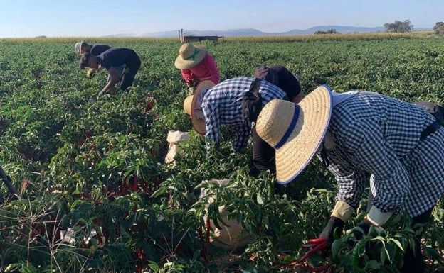 Los trabajadores que cobran el salario mínimo en Extremadura duplican la media nacional