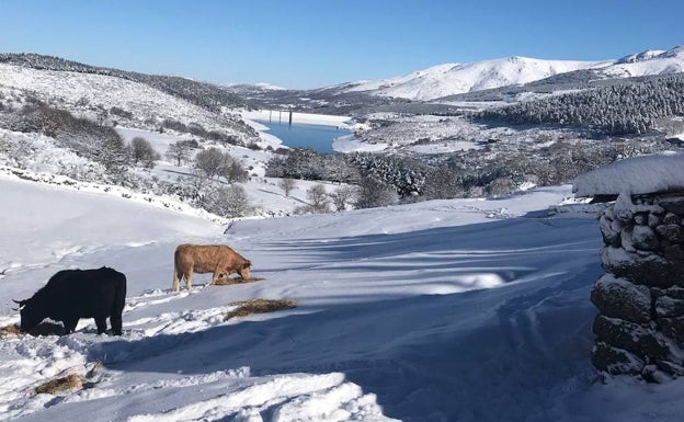 Las primeras nieves del año llegarán el domingo a Extremadura