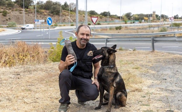 Crash se estrena como perro policía de Plasencia: 60 gramos de hachís en el maletero de un autobús