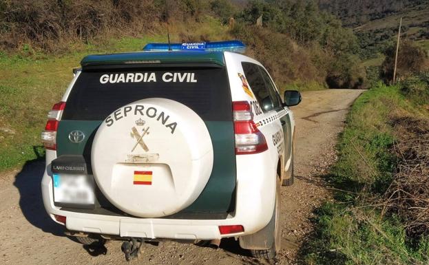 Detenido por cazar de manera furtiva en varias fincas privadas de Berzocana
