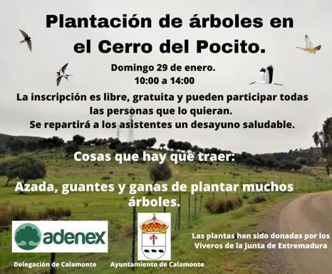 Plantación de árboles en el Cerro del Pocito