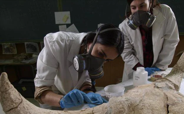 Two researchers analyze one of the bones found at the Madrid site. 