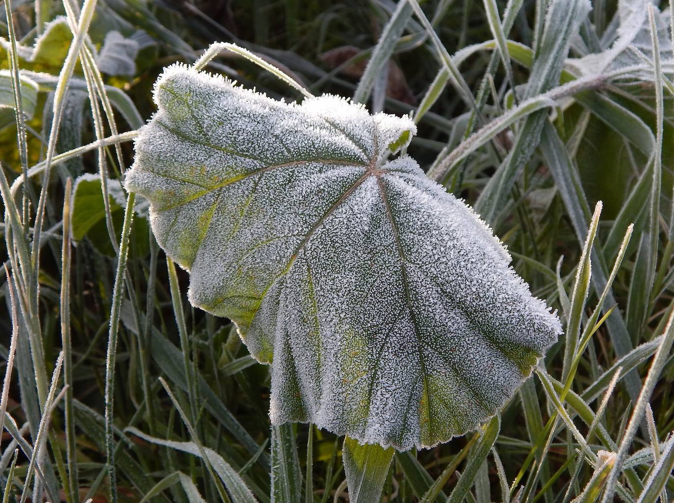 Noche heladora en Badajoz