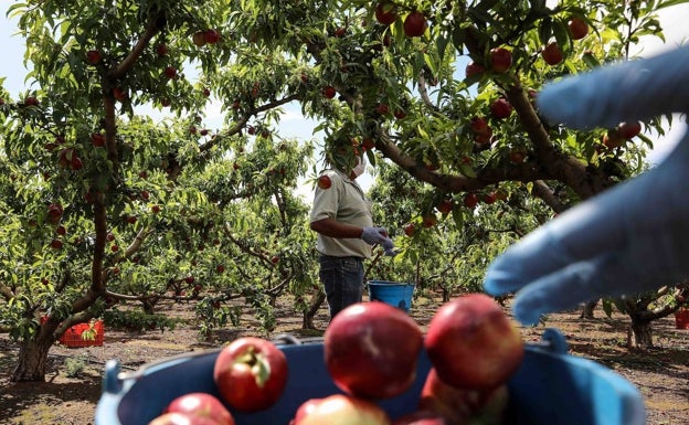 Las exportaciones extremeñas alcanzan por vez primera los 3.000 millones