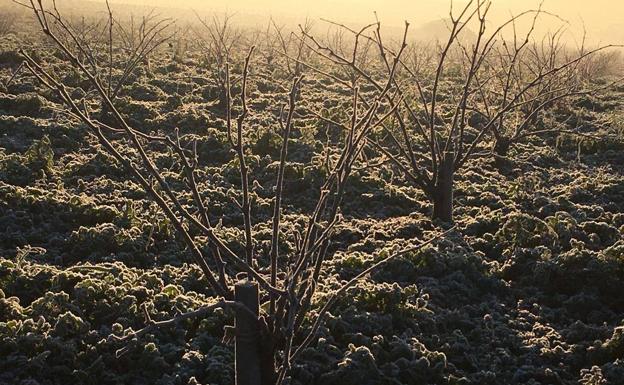 Más heladas en Extremadura: estos son los municipios bajo cero este miércoles
