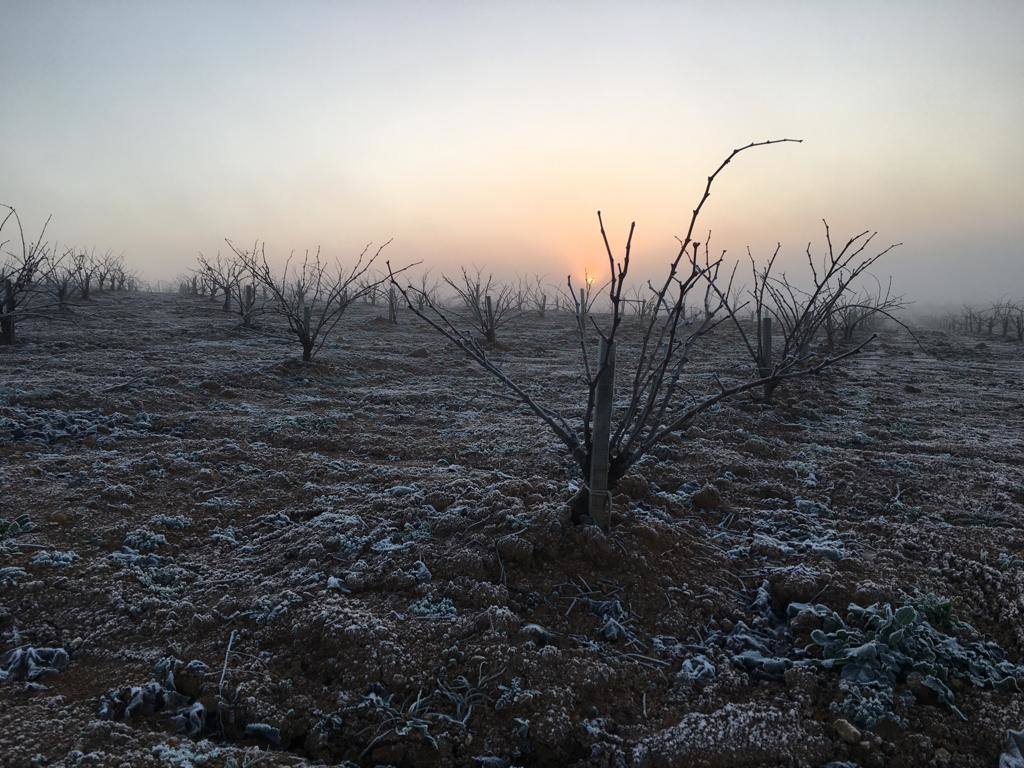 Febrero también empieza con heladas en Extremadura