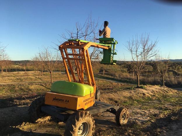 Extremadura autoriza las quemas de restos de poda