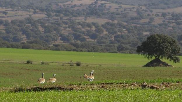 Reclaman un fondo para agricultores afectados por la Red Natura 2000