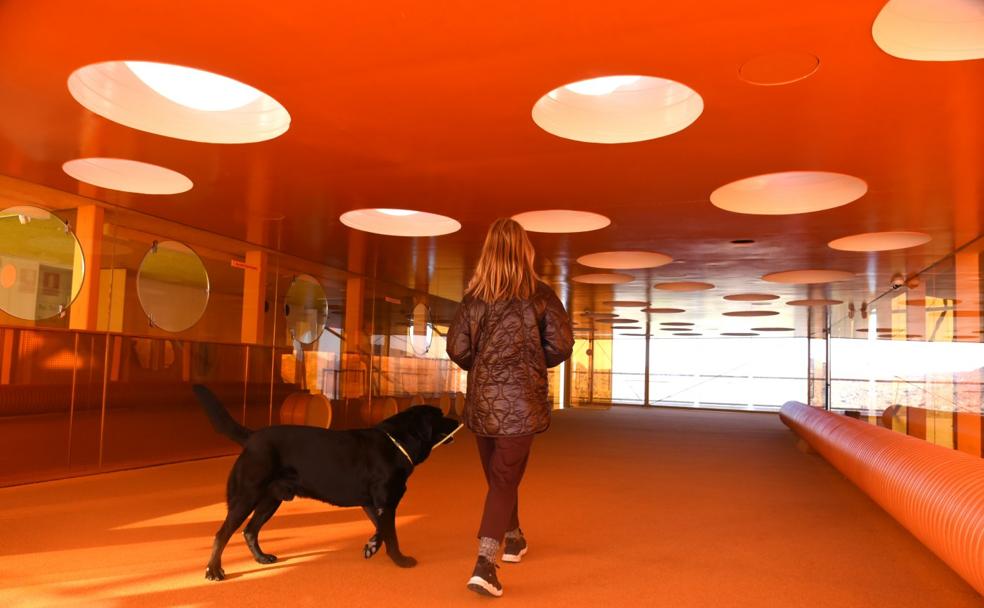 El Palacio de Congresos de Plasencia abre sus puertas a las mascotas