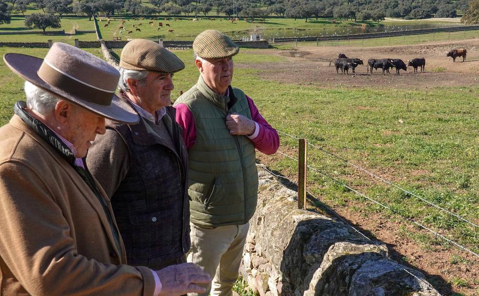 Ganaderos unidos para luchar por la tauromaquia