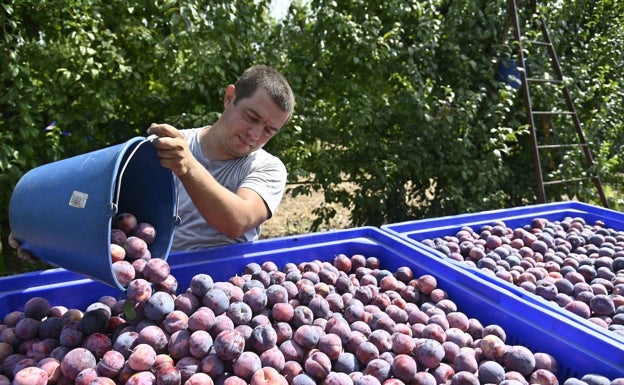 La inflación impulsa las exportaciones extremeñas hasta un nuevo máximo histórico