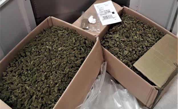 Incautados 12 kilos de cogollos de cannabis enviados desde Italia a Cáceres