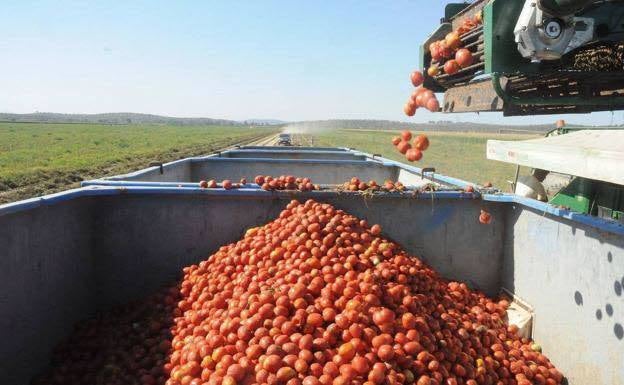 Cinco empresas extremeñas, sancionadas por incumplir la ley de la Cadena Alimentaria