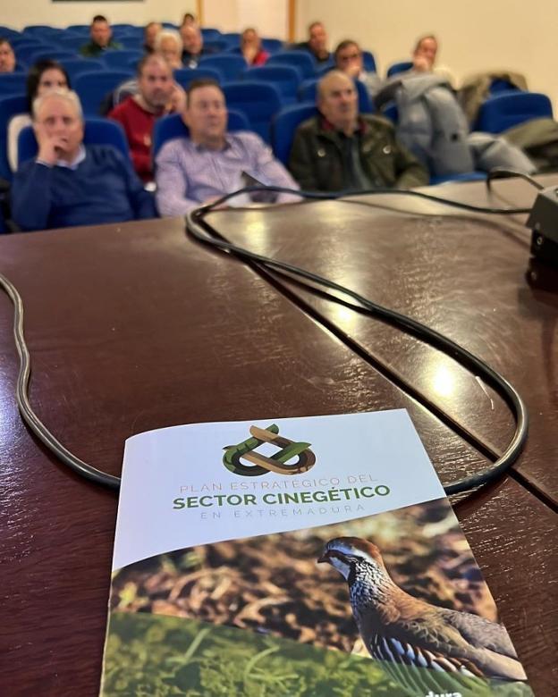 Los expertos creen que el sector necesita más profesionalización