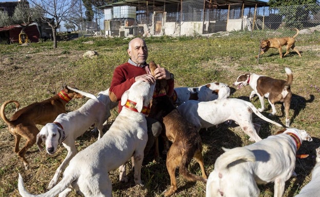 Polémica con la ley de bienestar animal: «Tengo la rehala por pasión, no por dinero»