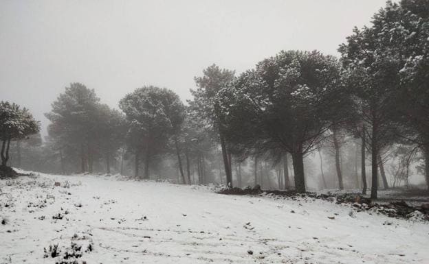 Nieve este sábado en la Sierra de Siruela. 