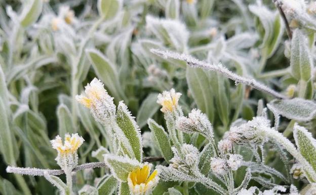 El mes de marzo llega con buen tiempo y bajas temperaturas