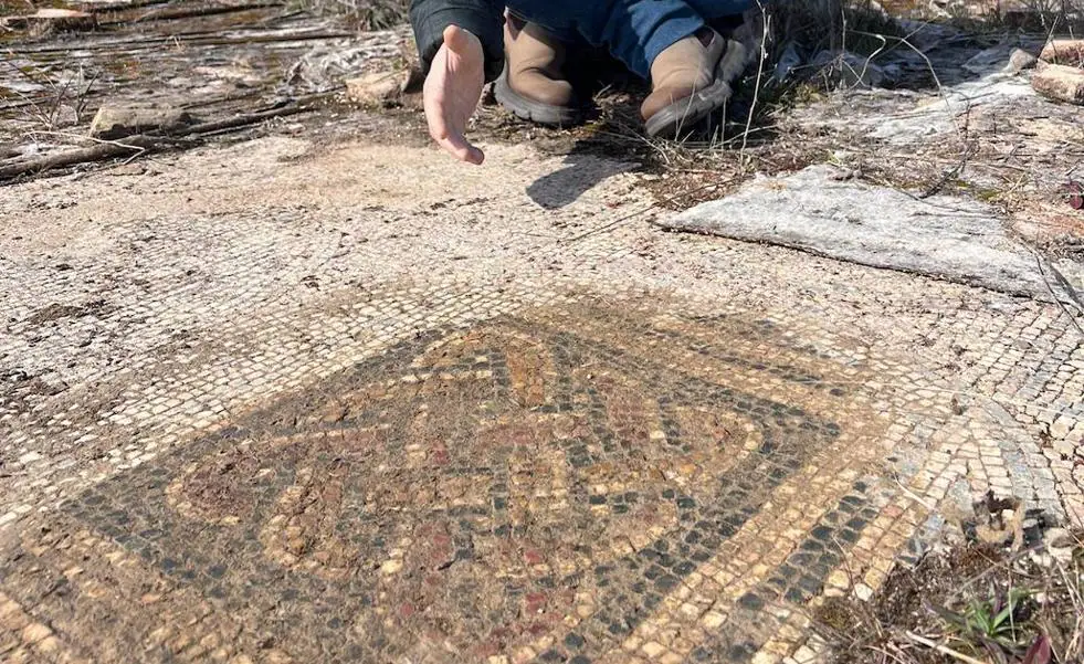 Destrozan y expolian parte de un mosaico romano en Villalba de los Barros