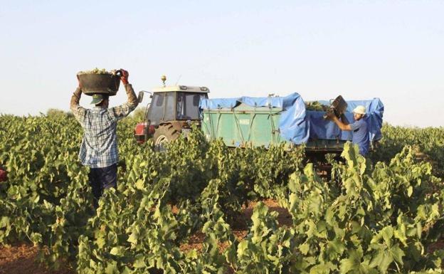 Unos 650.000 agricultores se beneficiarán de 4.875 millones de la PAC